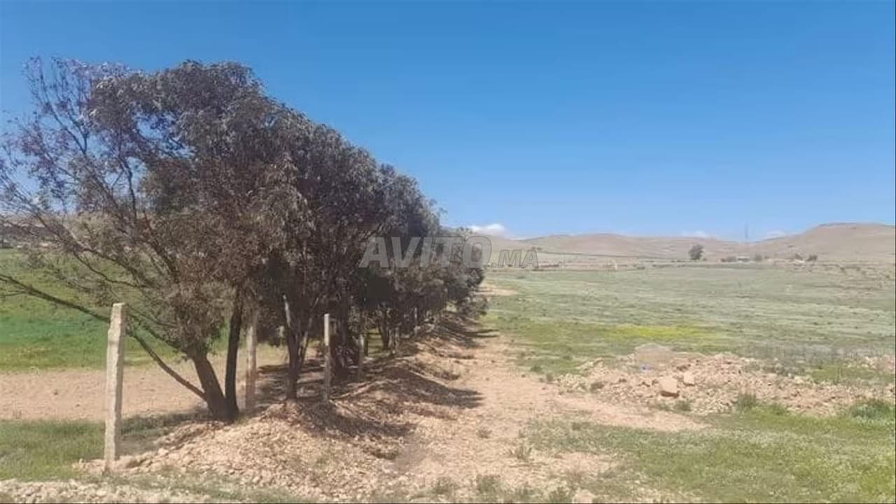 أرض مسجلة للبيع