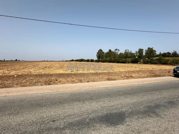 3,25 ha agricole titré sur la route à Benslimane
