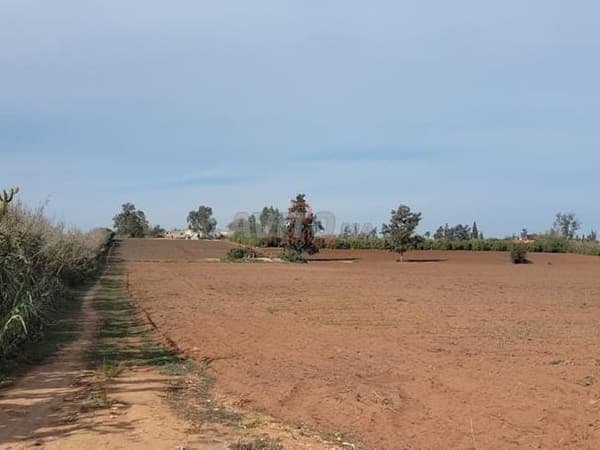 Land for Sale in Temara