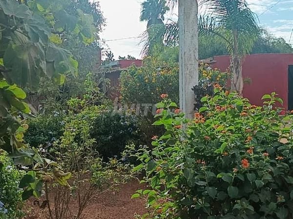 Finca con casa y pozo