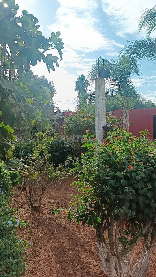 Finca con casa y pozo