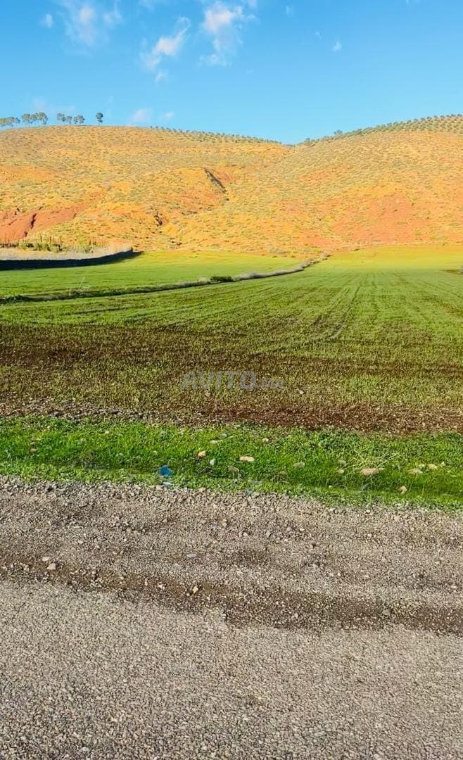 هكتار ونصف مملّك على الطريق، بثمن إجمالي 48 مليون