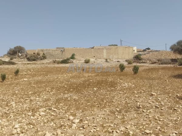 Terrain titré à vendre – Région d’Essaouira