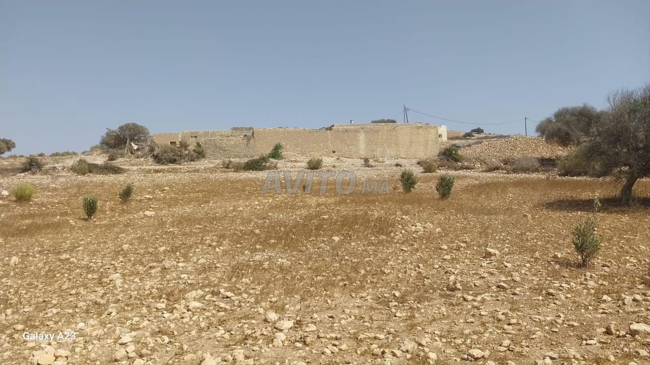 Titled land for sale – Essaouira region