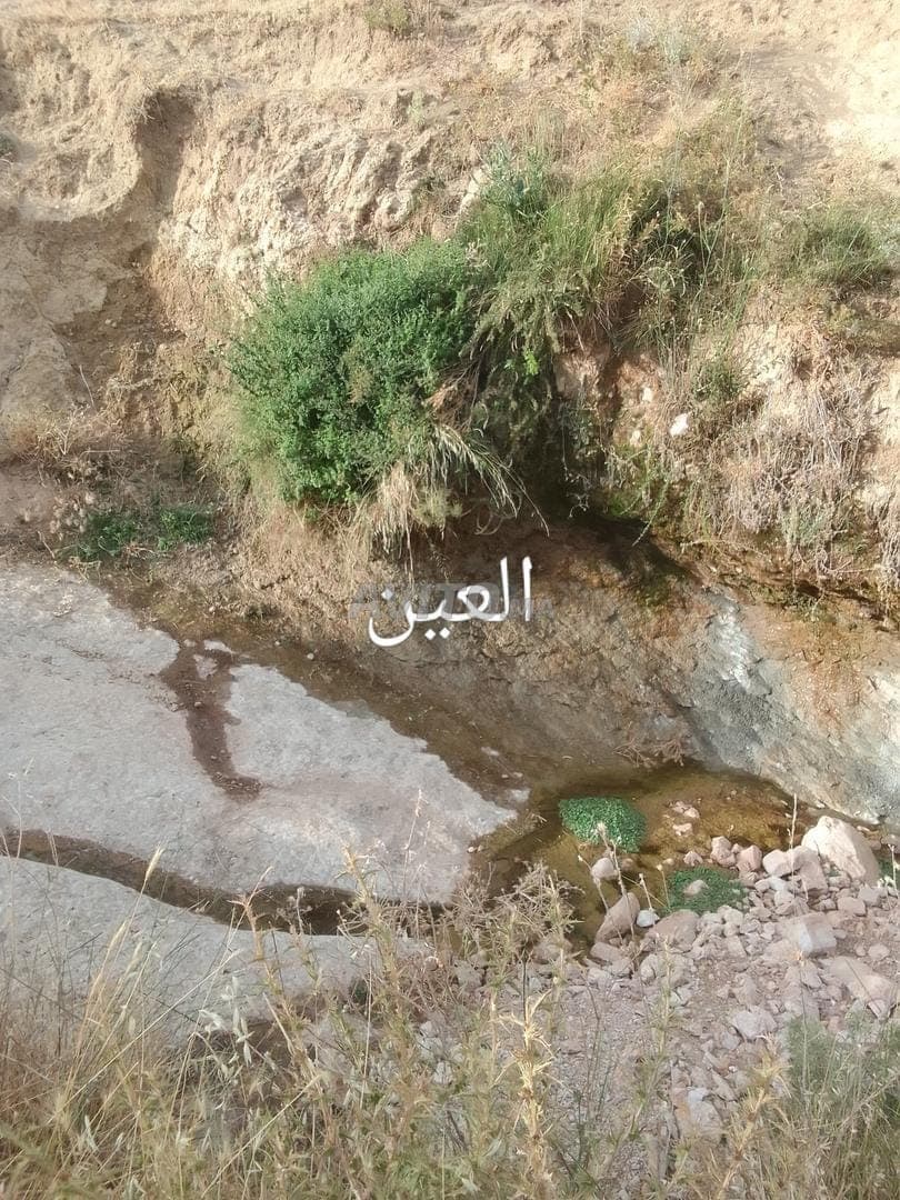أرض فلاحية للبيع