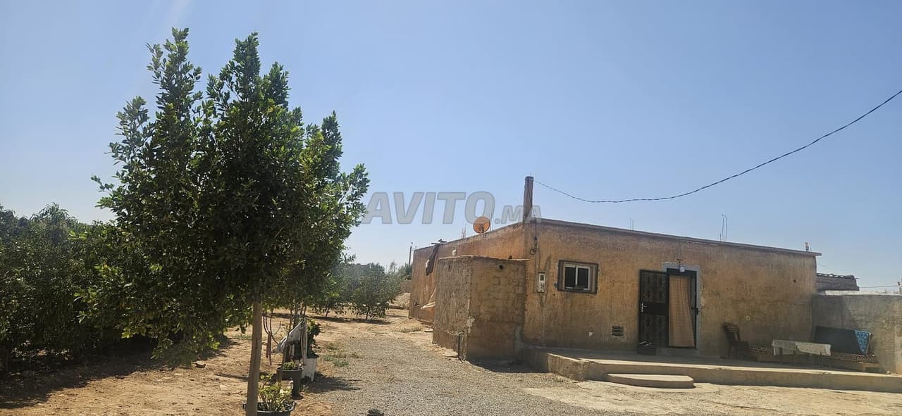 Equipped farm 2H4000M next to TESUNOPOL in Oujda