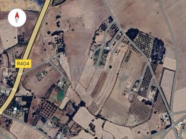 Agricultural land on the Daïet Roumi road outside Khemisset, 3 km away
