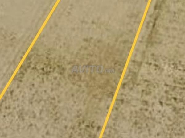 Vente terrain agricole