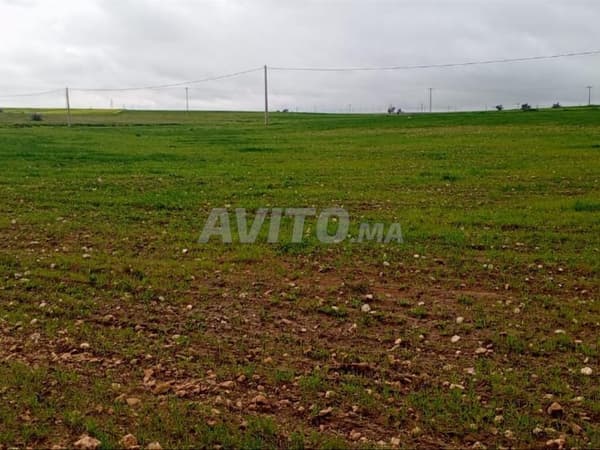 Hamza terrain moins cher