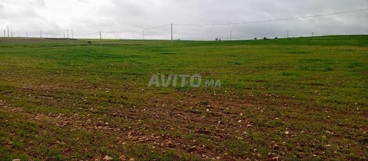 Hamza terrain moins cher