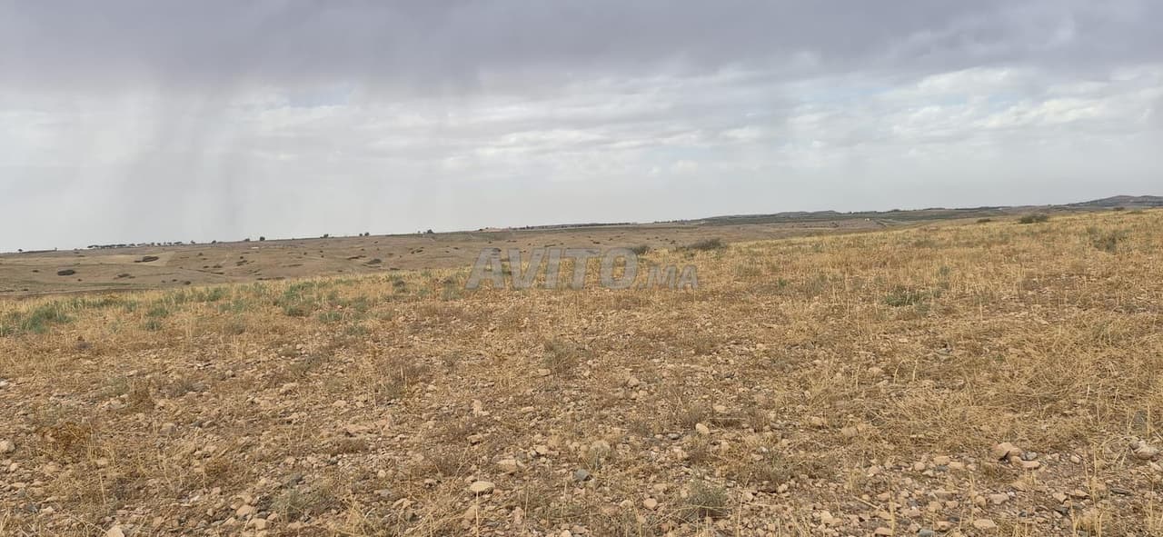 Terrain agricole privé à vendre dans la commune de Sidi Dahaj