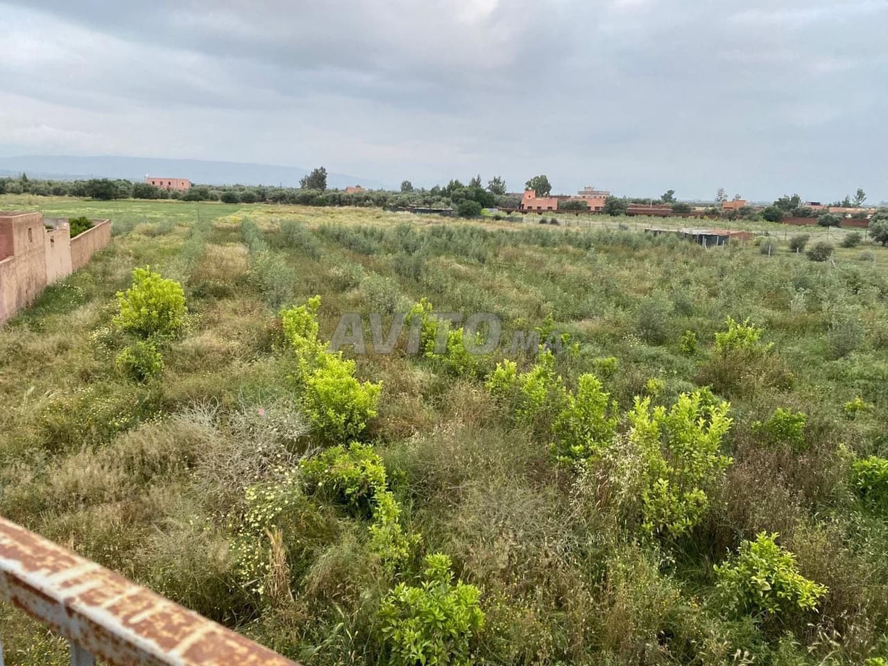 Boerderij 8000m2 Sidi Abdellah Ghiat nabij Marrakech