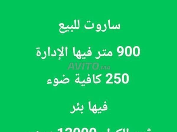 Hangars Sarout te huur Ain Sebaa