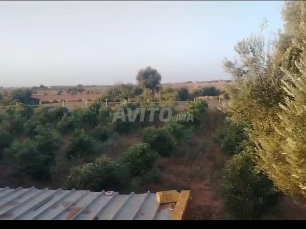 Terreno in vendita