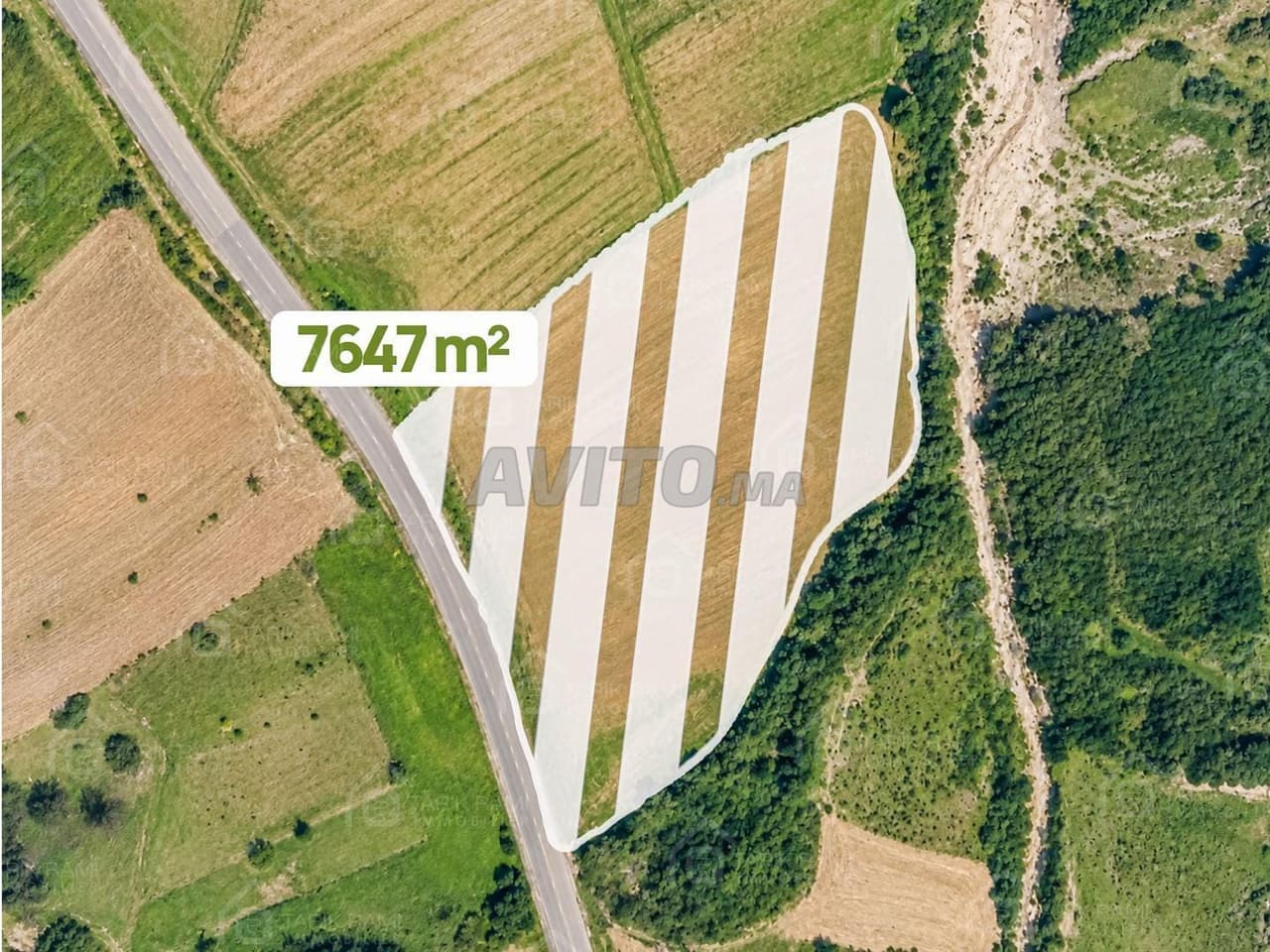 Terrain titré de 7 647 m² à vendre à Meloussa