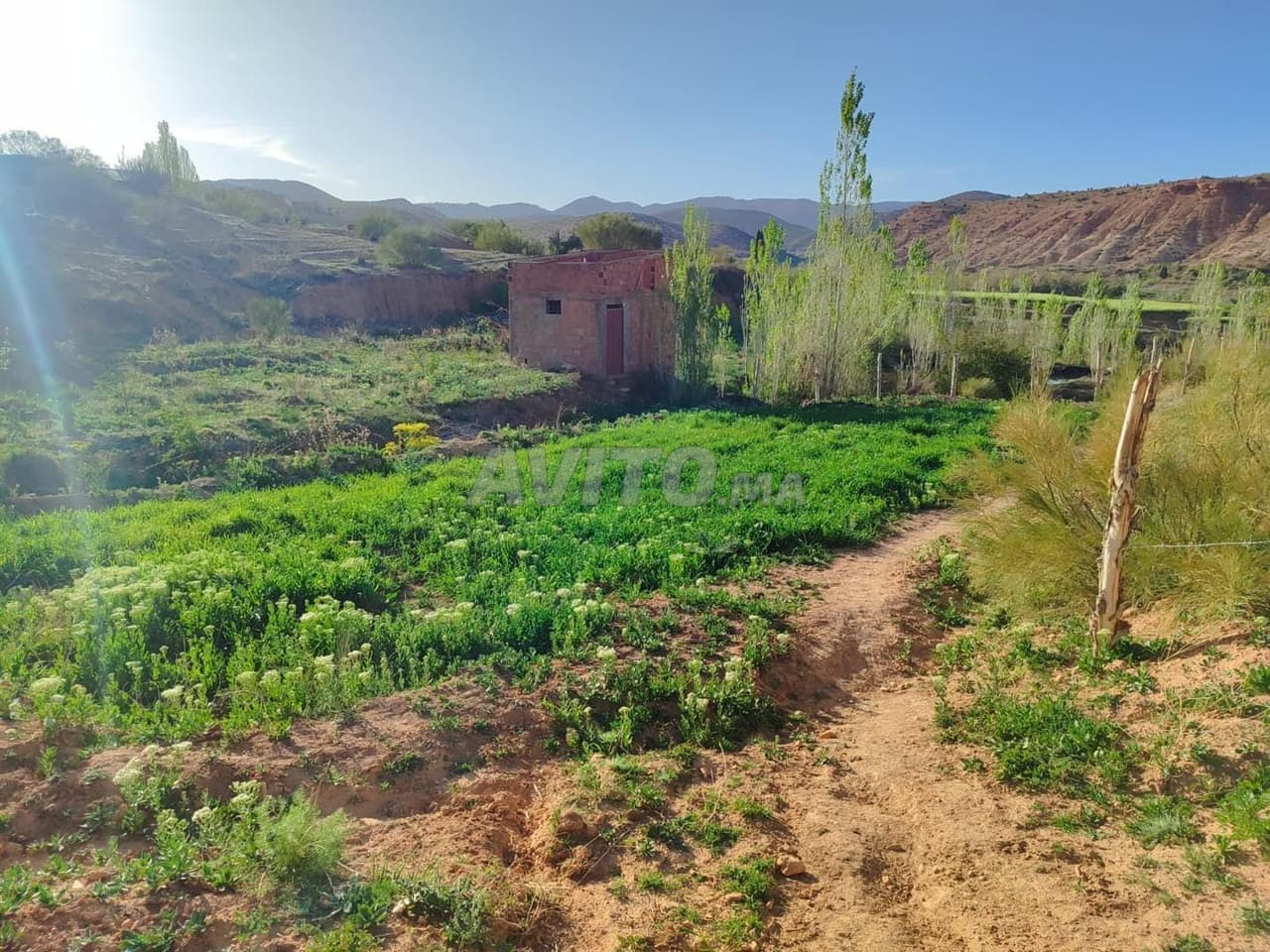 Terrain agricole