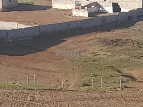 Ferme agricole prête à l'exploitation 14,5 hectares à Sidi Bettach