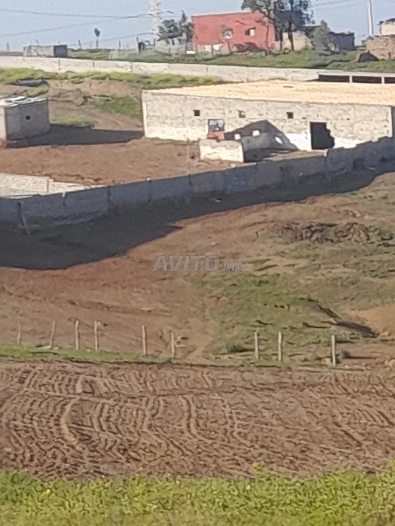 Azienda agricola pronta all'uso di 14,5 ettari a Sidi Bettach