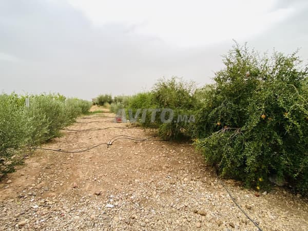 🌿 Terrain titré à vendre – Route de Fès, Marrakech