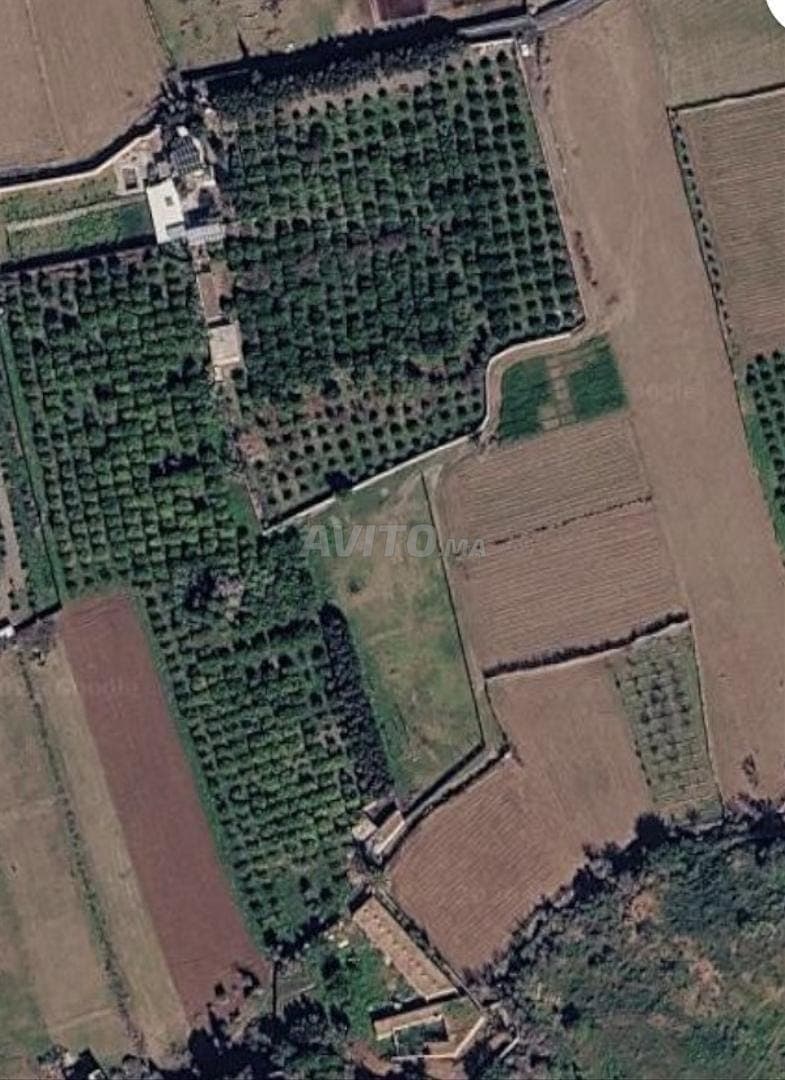 Registered farm for sale