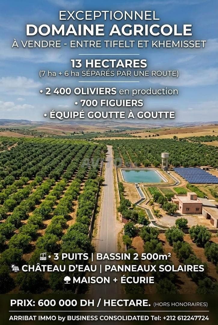 Domaine agricole à vendre à Khemisset 13 hectares