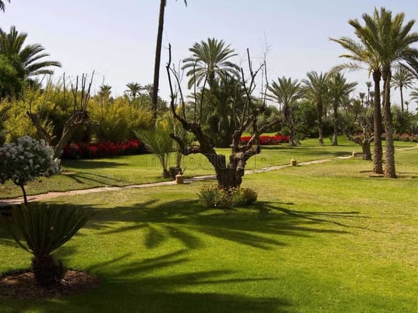 Villa de 4875 m2 bien située à Californie AFFAIRE