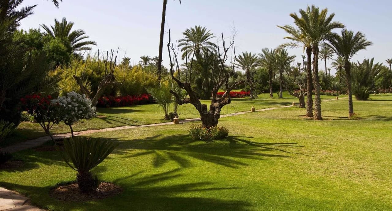 Villa of 4875 m2 well located in Californie DEAL