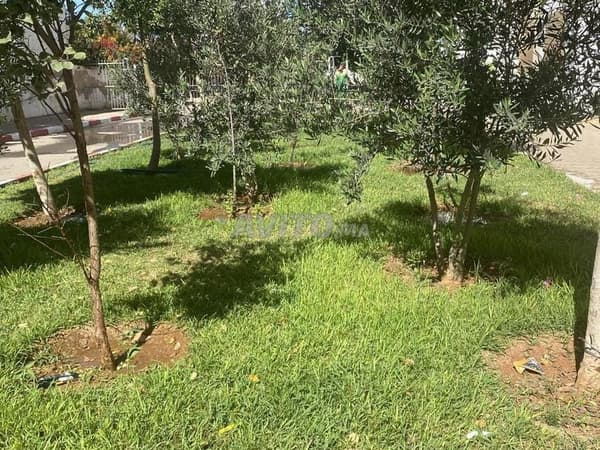 Piso en alquiler de 65 m² en Béni Yakhlef