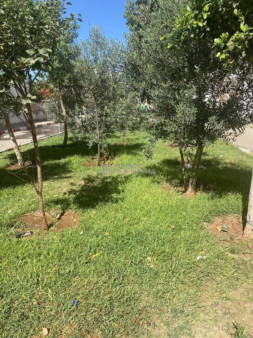Appartement à louer 65 m² à Béni Yakhlef