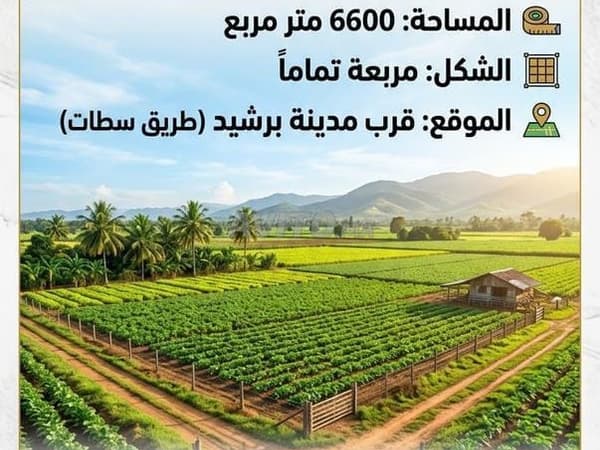Buildable agricultural land near Berrechid