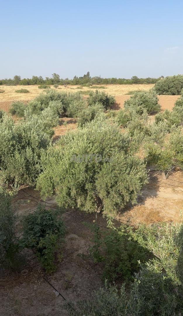 ضيعة محاطة بسور مع منزل ومسبح