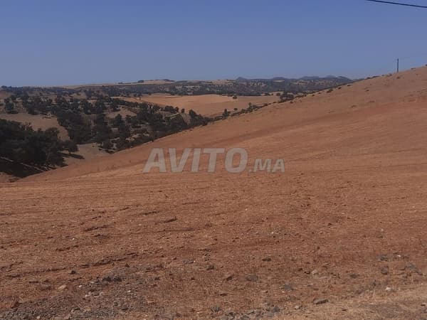 Terrain 23 hectares titre foncier à vendre Oulad Aïssa