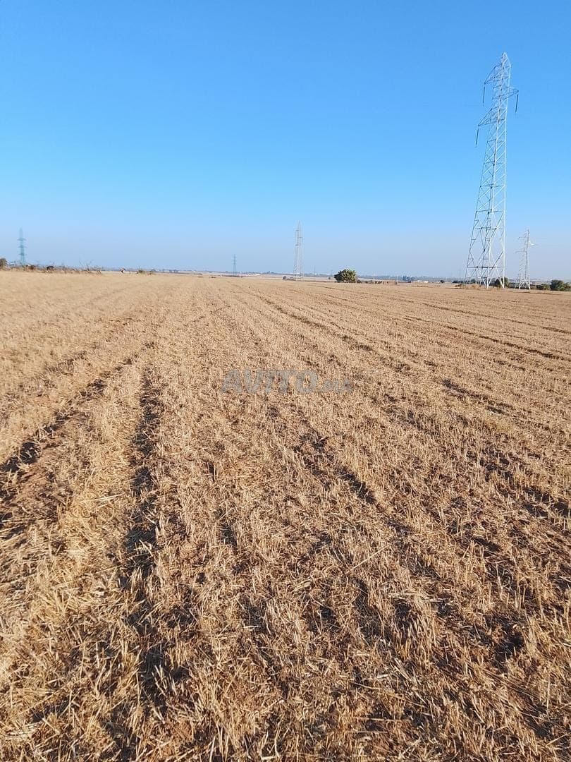 Oum Azza, environs Ain Ouda, Zaer et Rabat