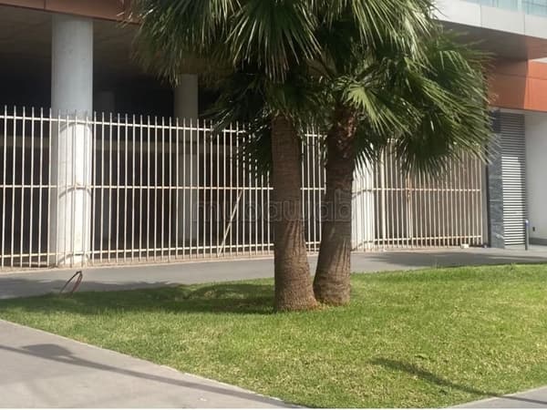 Local premium exclusif 590m route del jadida