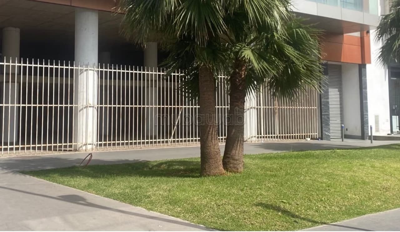 محل تجاري فاخر حصري بطريق الجديدة 590م