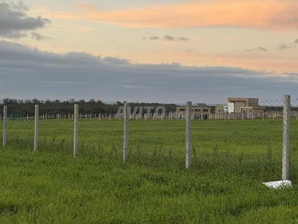 Terreno en venta en Sidi Rahal Chatai. 10000 m²