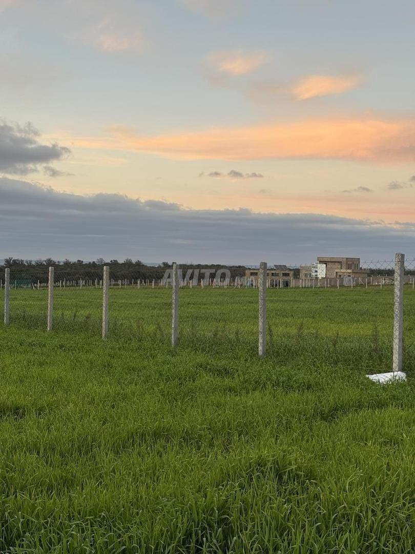Terreno en venta en Sidi Rahal Chatai. 10000 m²