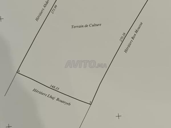 Agricultural land Thiers