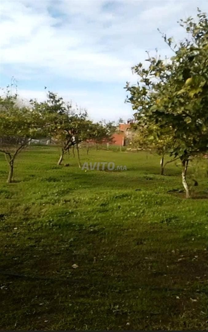 Terreno in vendita