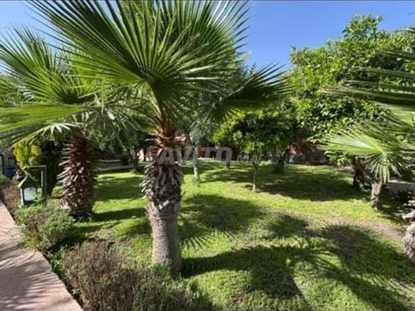 Titre foncier féminin de 3 hectares