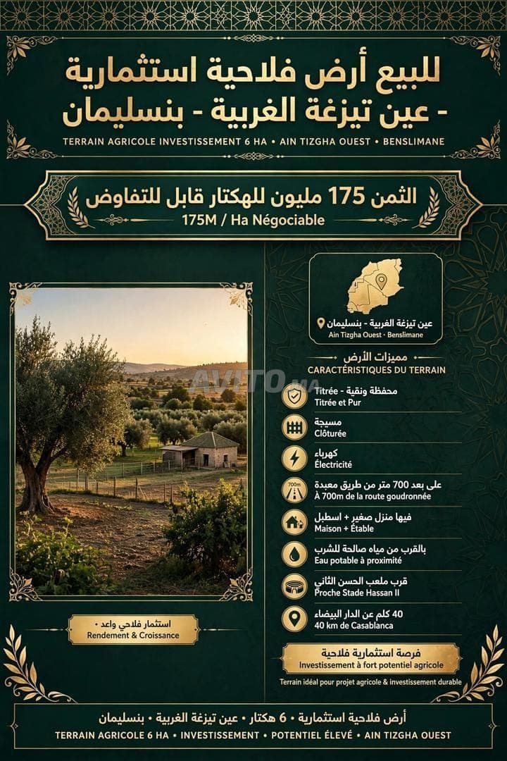 Benslimane Ain Tizgha 6 hectares à vendre.