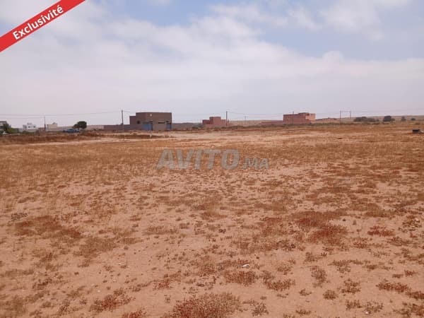 Land for sale, bare plot in Tiznit