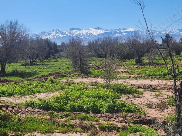 Terrain 5 000 m² plat avec vue Atlas – Marrakech