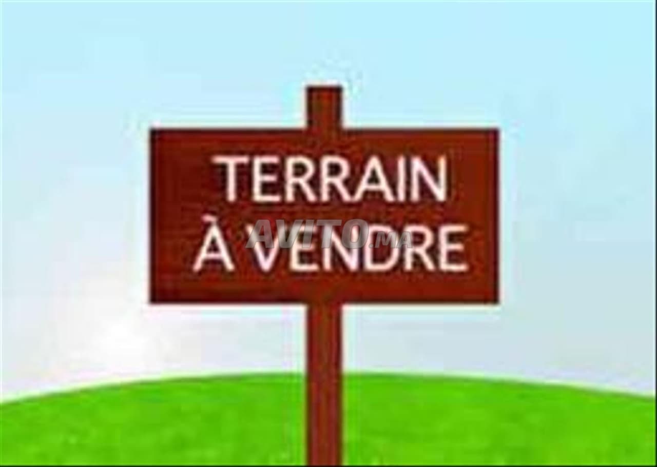 Hectare à vendre Route de Tameslouht