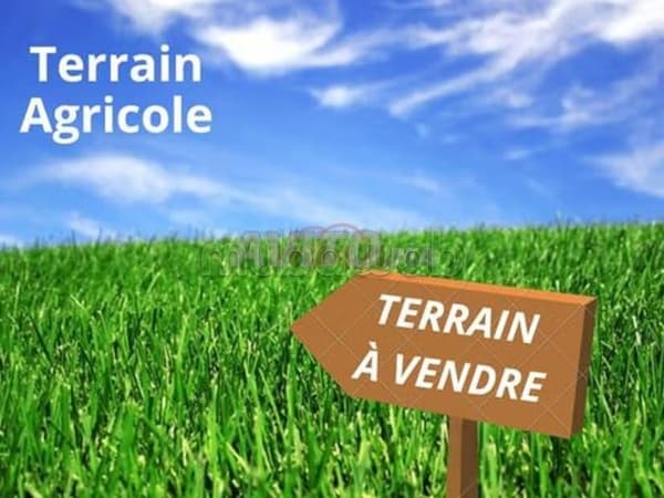 Terrain Agricole titré 47 Hectares Route d'Ourika