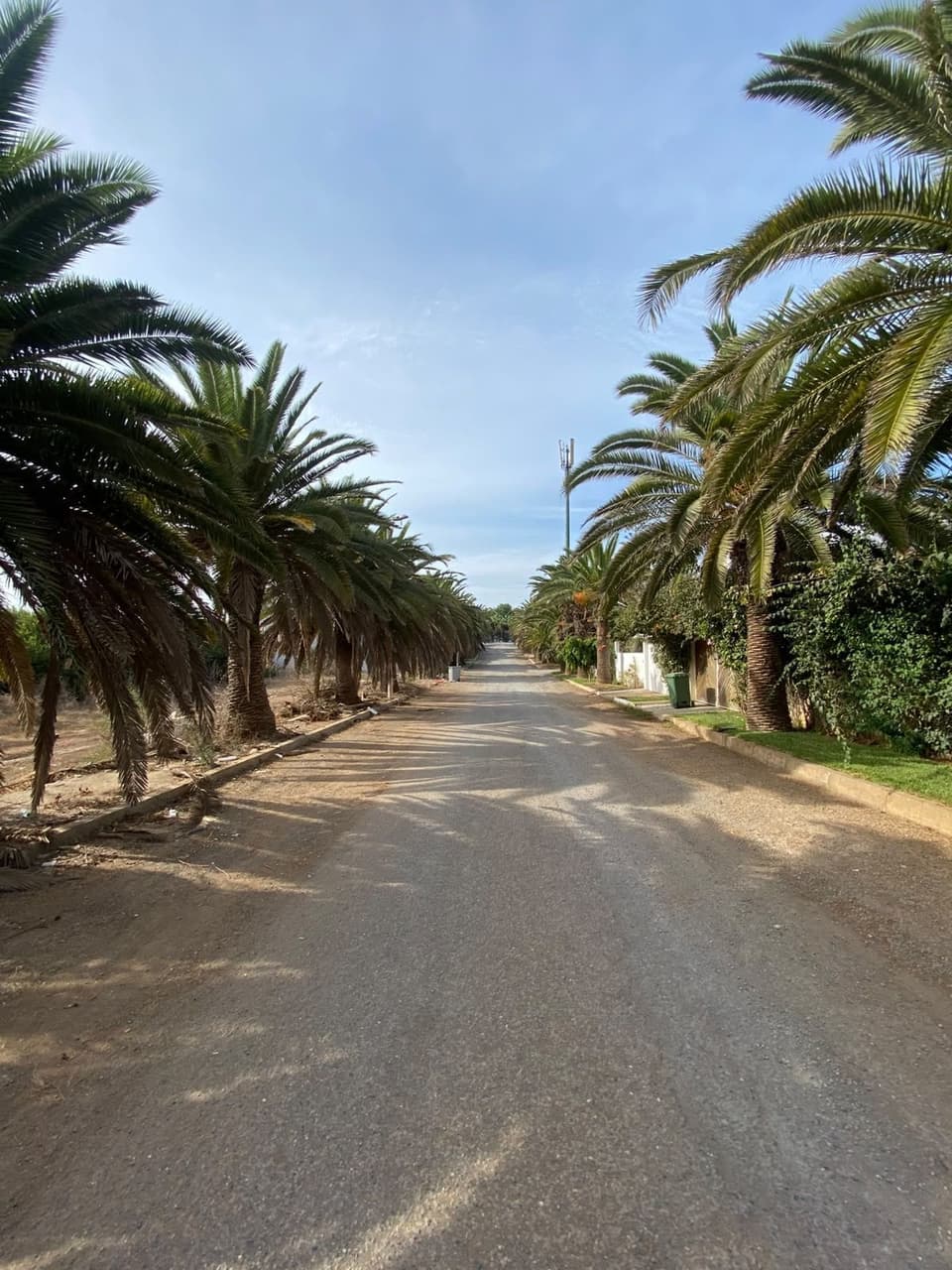 أرض لبناء فيلا مساحتها 499 م² للبيع في الصخيرات Plage De Skhirate
