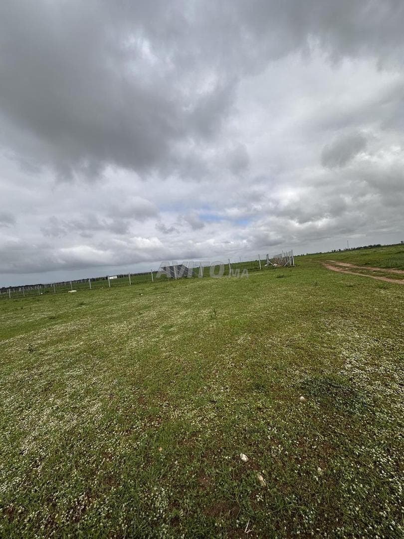 Hectare Sidy Rahal titré avec vue sur mer