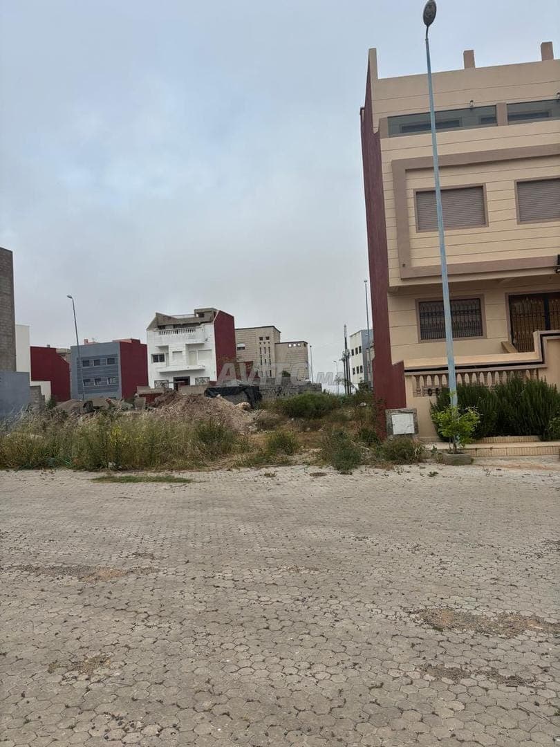 LOT DE 140 M Cavae R2