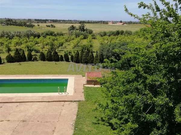 61911-Sale of Land in Benslimane Les Chenes de 205