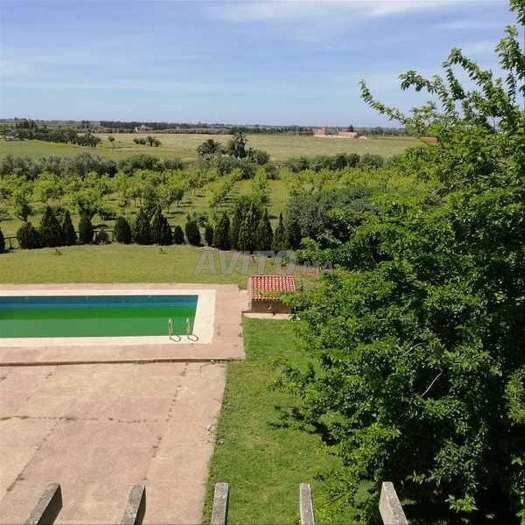61911-Sale of Land in Benslimane Les Chenes de 205